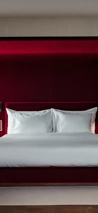 2505 OP Les Trois Rois Junior Suite 5004