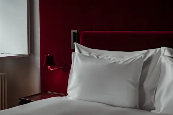 Les Trois Rois Junior Suite 5009 (2)
