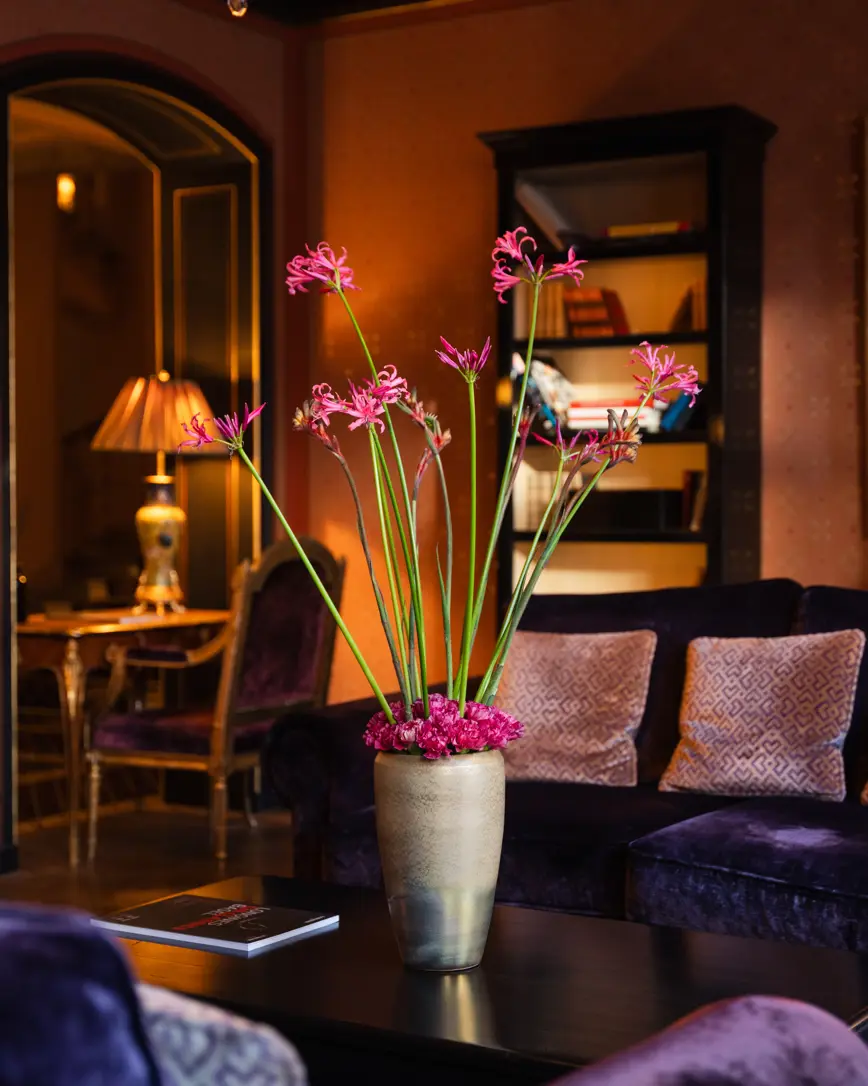 2501 JD Bibliothek (6)