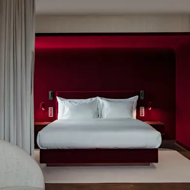 Les Trois Rois Junior Suite 2